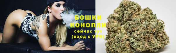 прущие грибы Красноперекопск