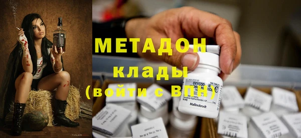 стаф Алексин