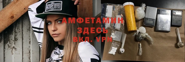 стаф Алексин
