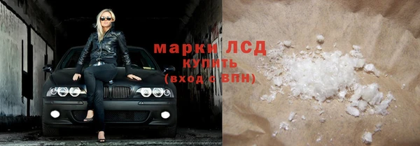 стаф Алексин