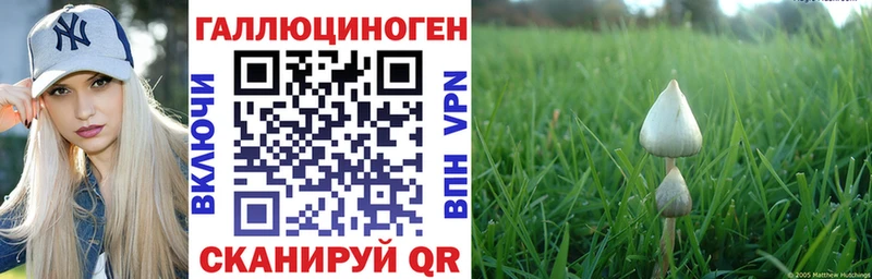 Галлюциногенные грибы мицелий  где можно купить наркотик  Катав-Ивановск 